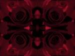 Mirroirs et filtre rouge fonc et fond noir appliqus sur les deux roses rouges
